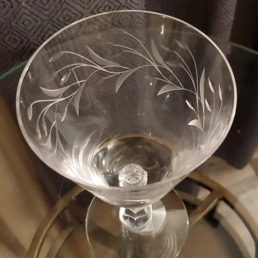 Fostoria Bridal Wreath Water Goblet